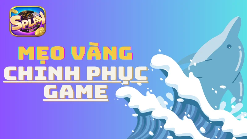 Tổng hợp mẹo vàng giúp cược thủ dễ dàng chinh phục tựa game